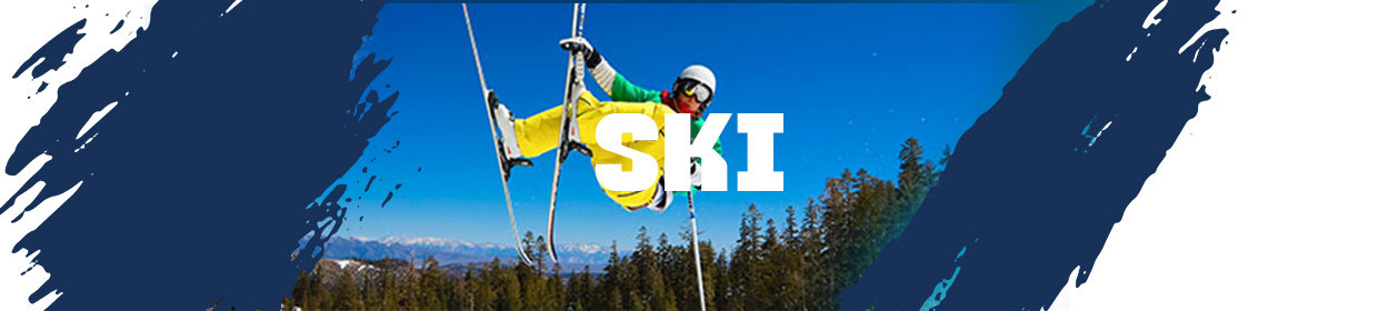 Ski Kategorie shredstore