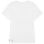 Picture T-Shirt Basement Guinea - white XL