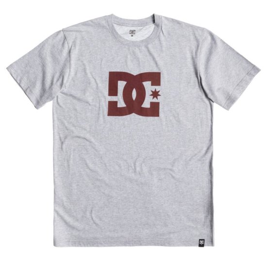DC shoes Star SS T-Shirt grey S