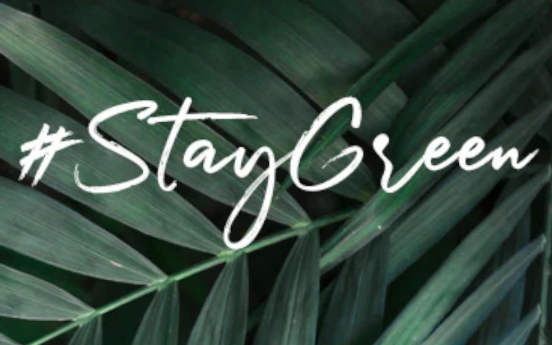 stay green stay green